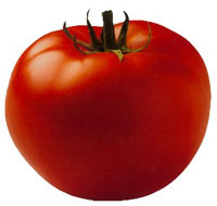 tomate 01